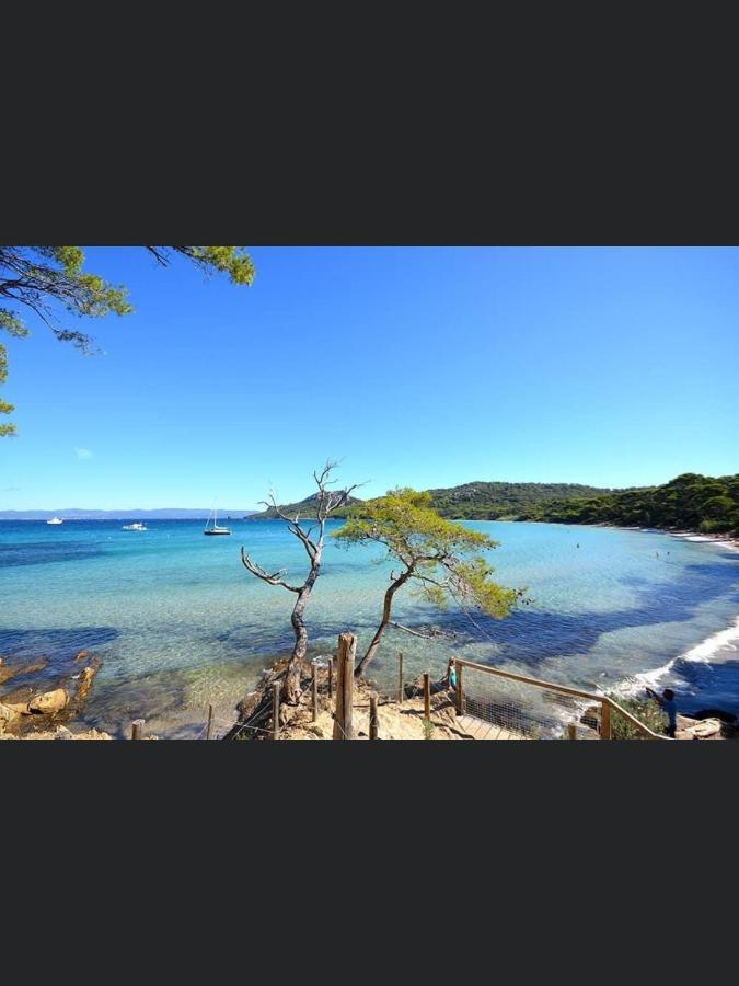 Appartement Pieds Dans L'Eau Vue Mer Bormes Les Mimosas Εξωτερικό φωτογραφία