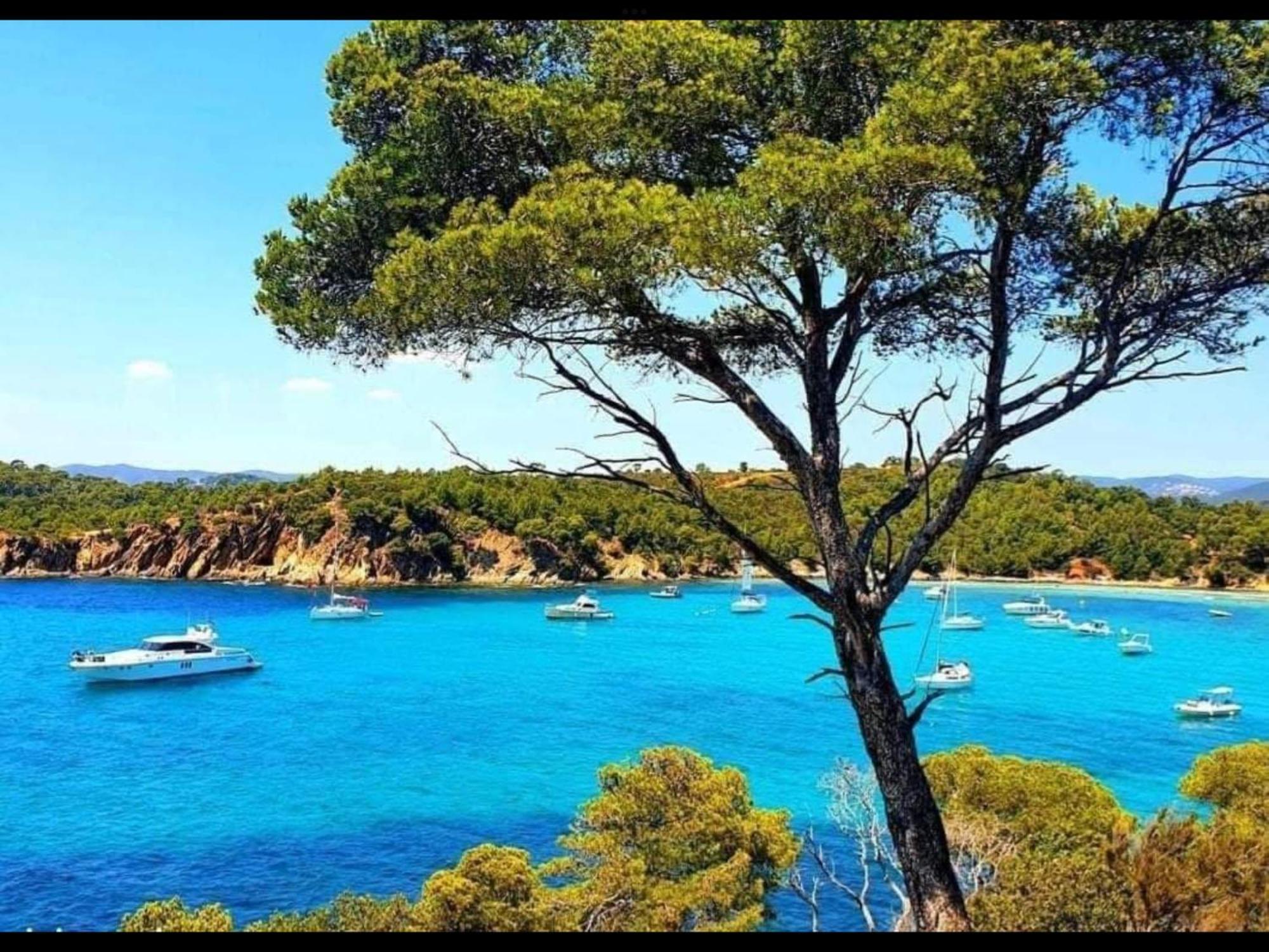 Appartement Pieds Dans L'Eau Vue Mer Bormes Les Mimosas Εξωτερικό φωτογραφία