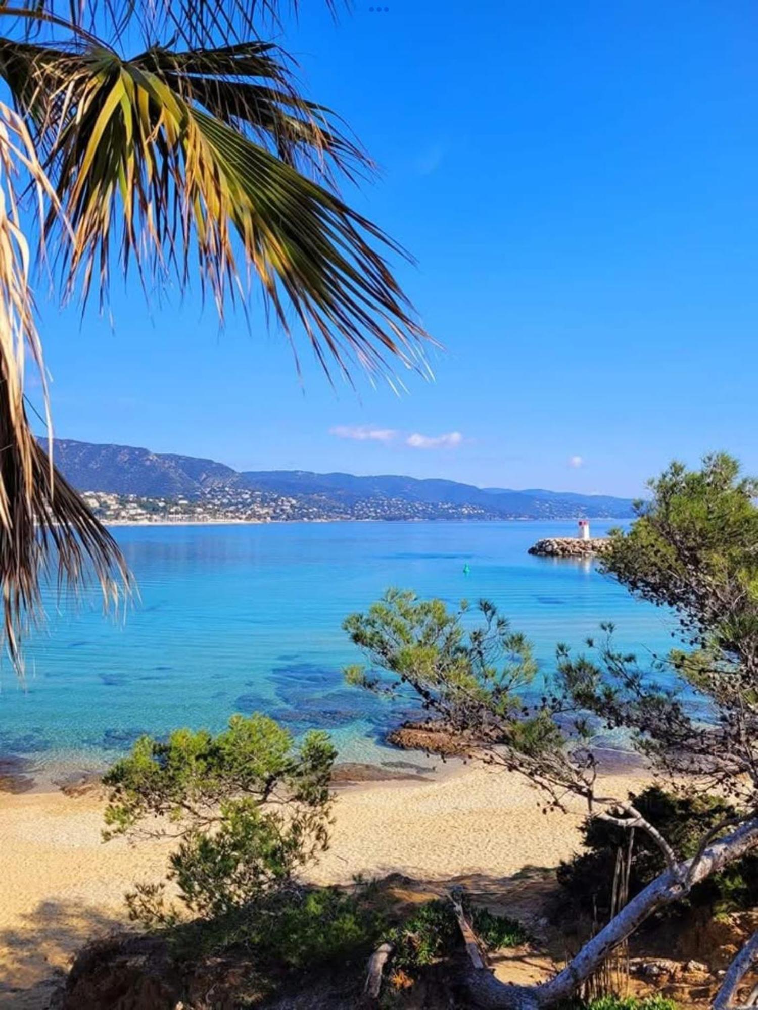 Appartement Pieds Dans L'Eau Vue Mer Bormes Les Mimosas Εξωτερικό φωτογραφία